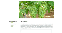 Desktop Screenshot of panaceaexim.com