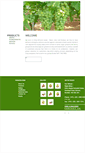 Mobile Screenshot of panaceaexim.com